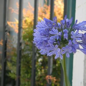 Meet your Posher, Natalia